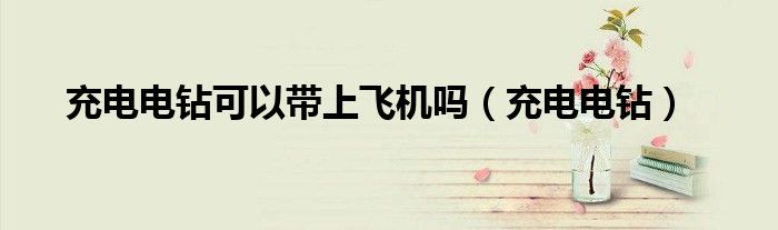充电电钻可以带上飞机吗（充电电钻）