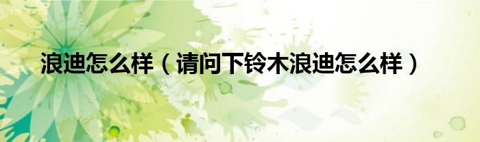 浪迪怎么样（请问下铃木浪迪怎么样）