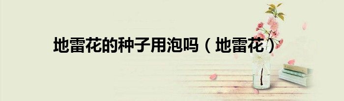 地雷花的种子用泡吗（地雷花）