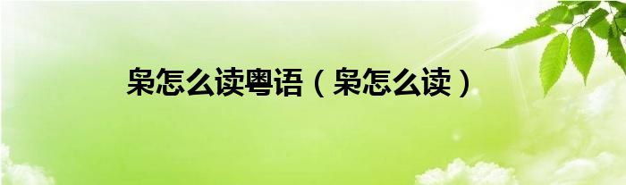 枭怎么读粤语（枭怎么读）