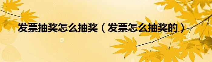 发票抽奖怎么抽奖（发票怎么抽奖的）