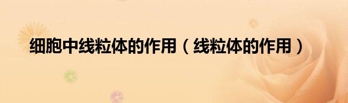 细胞中线粒体的作用（线粒体的作用）