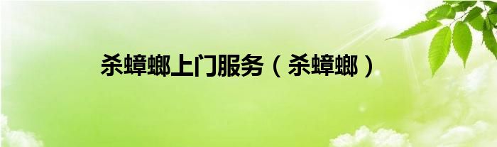 杀蟑螂上门服务（杀蟑螂）