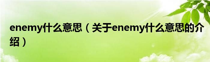 enemy什么意思（关于enemy什么意思的介绍）