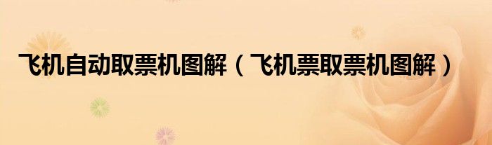 飞机自动取票机图解（飞机票取票机图解）