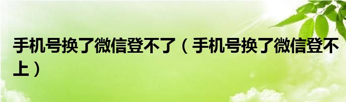 手机号换了微信登不了（手机号换了微信登不上）
