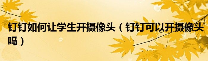 钉钉如何让学生开摄像头（钉钉可以开摄像头吗）