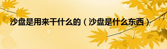 沙盘是用来干什么的（沙盘是什么东西）