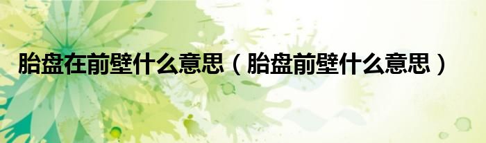胎盘在前壁什么意思（胎盘前壁什么意思）
