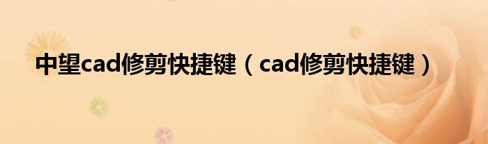中望cad修剪快捷键（cad修剪快捷键）