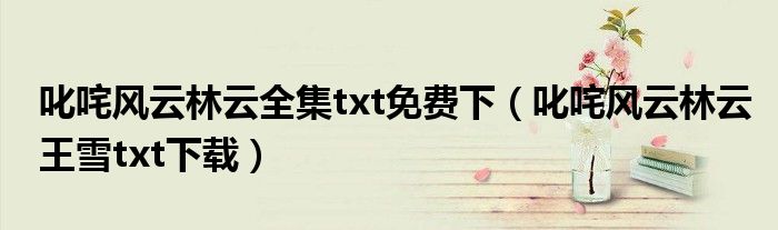 叱咤风云林云全集txt免费下（叱咤风云林云王雪txt下载）