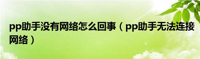 pp助手没有网络怎么回事（pp助手无法连接网络）