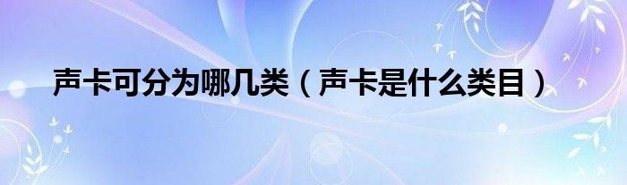 声卡可分为哪几类(声卡是什么类目)