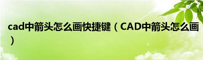 cad中箭头怎么画快捷键（CAD中箭头怎么画）