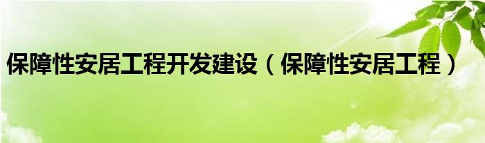 保障性安居工程开发建设（保障性安居工程）