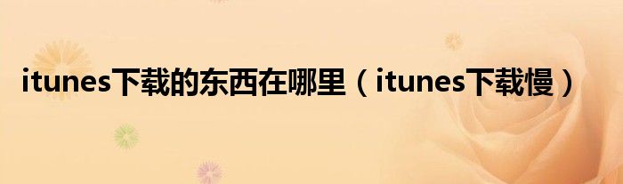 itunes下载的东西在哪里（itunes下载慢）