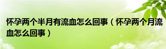 怀孕两个半月有流血怎么回事（怀孕两个月流血怎么回事）