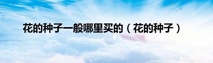 花的种子一般哪里买的（花的种子）