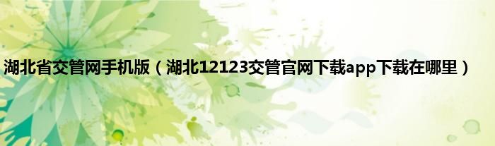 湖北省交管网手机版（湖北12123交管官网下载app下载在哪里）