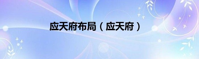 应天府布局（应天府）