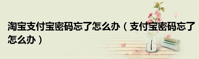 淘宝支付宝密码忘了怎么办（支付宝密码忘了怎么办）