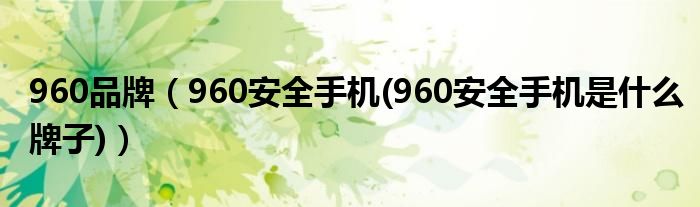 960品牌（960安全手机(960安全手机是什么牌子)）