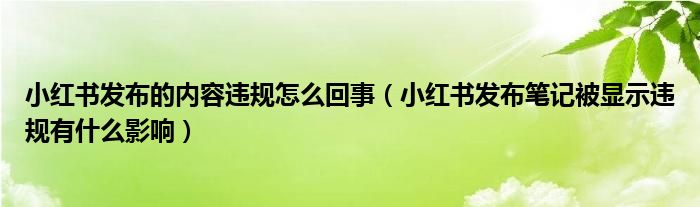 小红书发布的内容违规怎么回事（小红书发布笔记被显示违规有什么影响）