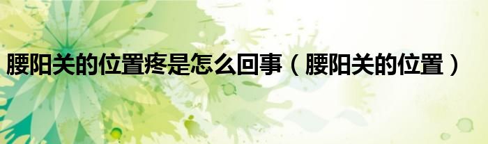 腰阳关的位置疼是怎么回事（腰阳关的位置）