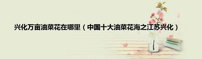 兴化万亩油菜花在哪里（中国十大油菜花海之江苏兴化）