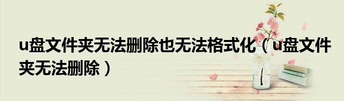 u盘文件夹无法删除也无法格式化（u盘文件夹无法删除）