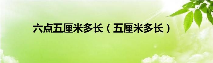 六点五厘米多长（五厘米多长）