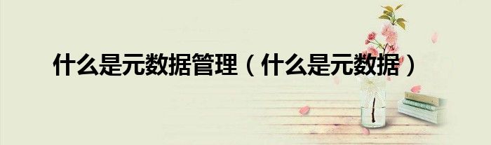 什么是元数据管理（什么是元数据）