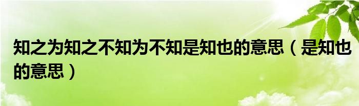 知之为知之不知为不知是知也的意思（是知也的意思）