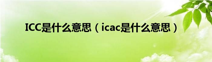 ICC是什么意思（icac是什么意思）