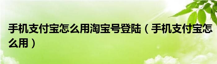手机支付宝怎么用淘宝号登陆（手机支付宝怎么用）