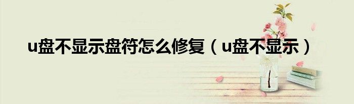 u盘不显示盘符怎么修复（u盘不显示）
