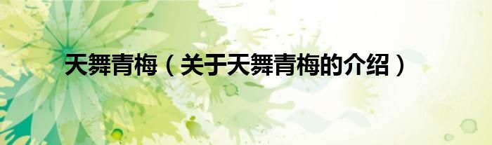 天舞青梅（关于天舞青梅的介绍）
