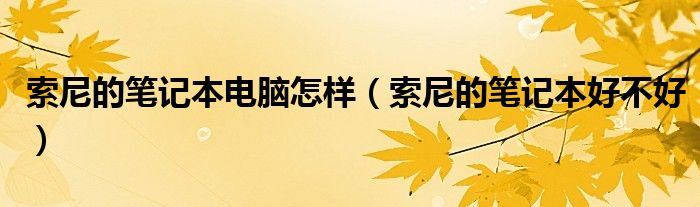 索尼的笔记本电脑怎样（索尼的笔记本好不好）