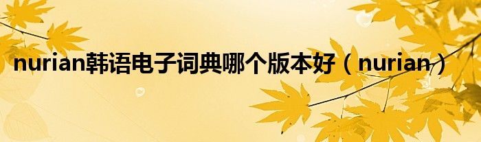 nurian韩语电子词典哪个版本好（nurian）
