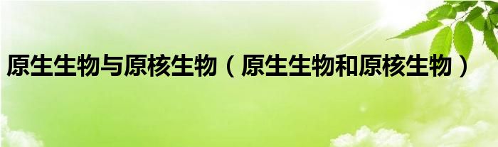 原生生物与原核生物（原生生物和原核生物）