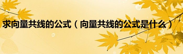 求向量共线的公式（向量共线的公式是什么）