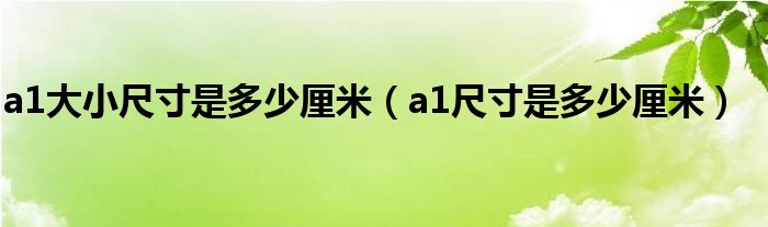 a1大小尺寸是多少厘米（a1尺寸是多少厘米）