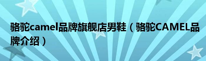 骆驼camel品牌旗舰店男鞋（骆驼CAMEL品牌介绍）