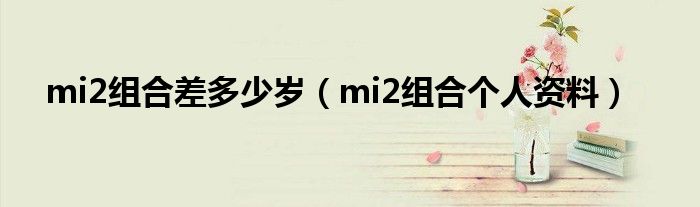 mi2组合差多少岁（mi2组合个人资料）