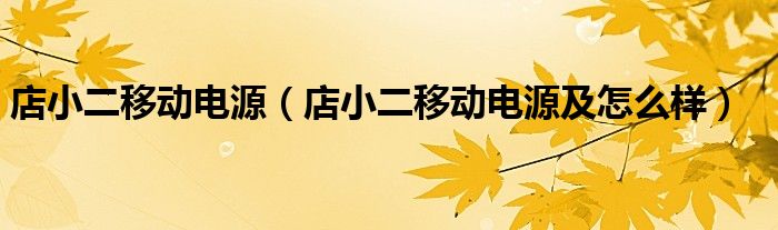 店小二移动电源（店小二移动电源及怎么样）