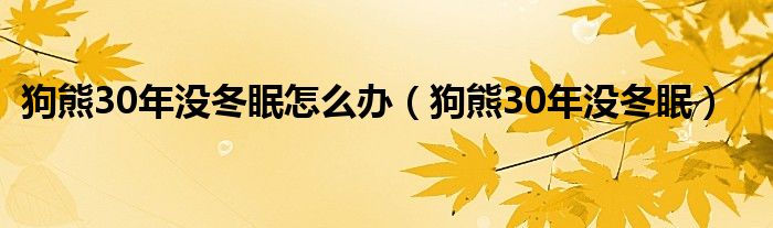 狗熊30年没冬眠怎么办（狗熊30年没冬眠）