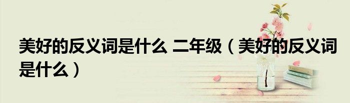 美好的反义词是什么 二年级（美好的反义词是什么）