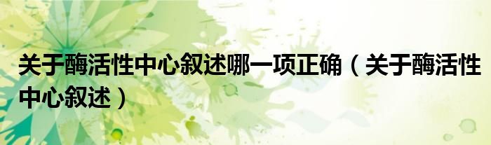 关于酶活性中心叙述哪一项正确（关于酶活性中心叙述）