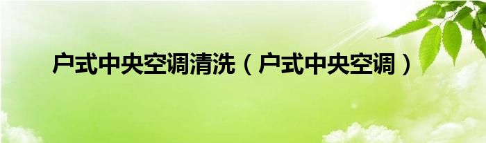 户式中央空调清洗（户式中央空调）